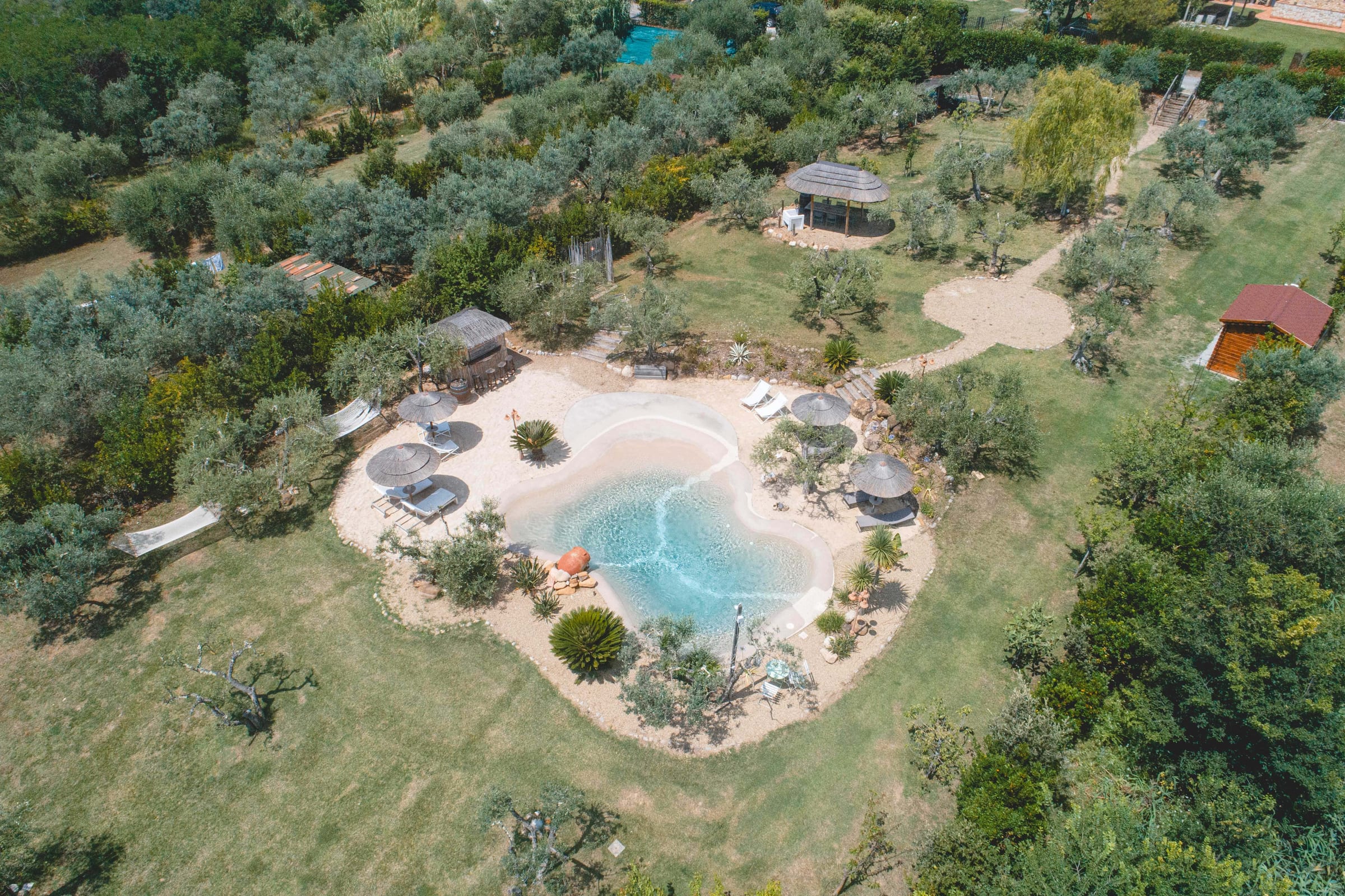 Piscina immersa nell'uliveto